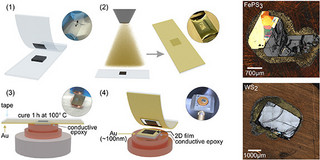 2D thin film preparation