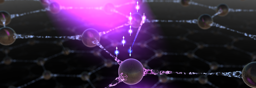 Coherent spin phenomena in solids